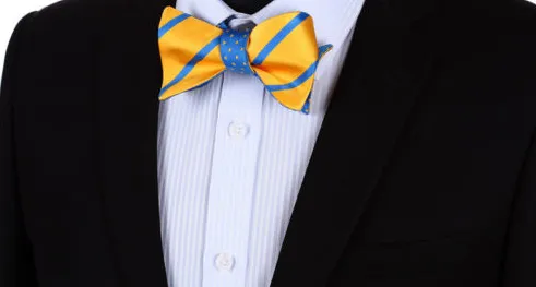 Blue & Yellow Reversible Bow Tie