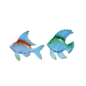 Colorful Fish