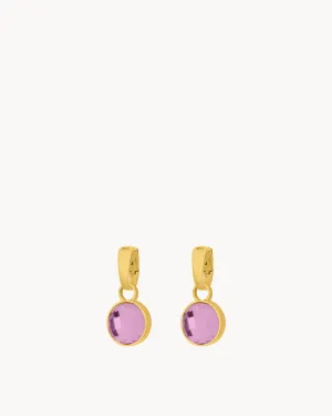 February Birthstone Devotion Dainty Signature Earring Pendants, Gold