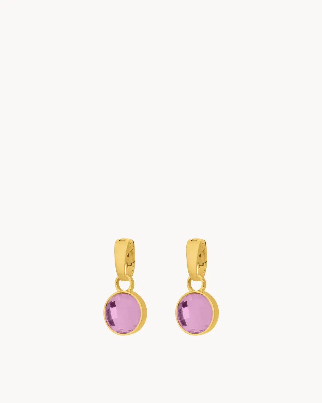 February Birthstone Devotion Dainty Signature Earring Pendants, Gold