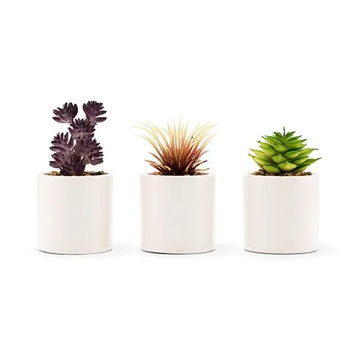 Mini Faux Succulent Plant Party Table Decor (Set Of 6)