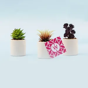 Mini Faux Succulent Plant Party Table Decor (Set Of 6)