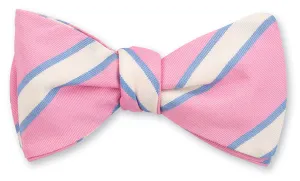 Pink Dudley Stripes Bow Tie - B5446