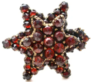 Victorian Garnet Star Gilt Brooch Pin